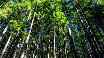 British Columbia